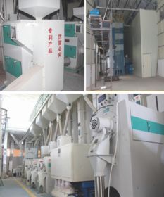 科技賦能，品質為本 揭秘大米企業贏得尊敬與信賴的秘訣